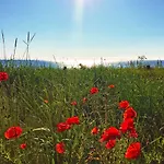 Strandresort Prora - Wg 114 Mit Meerblick
